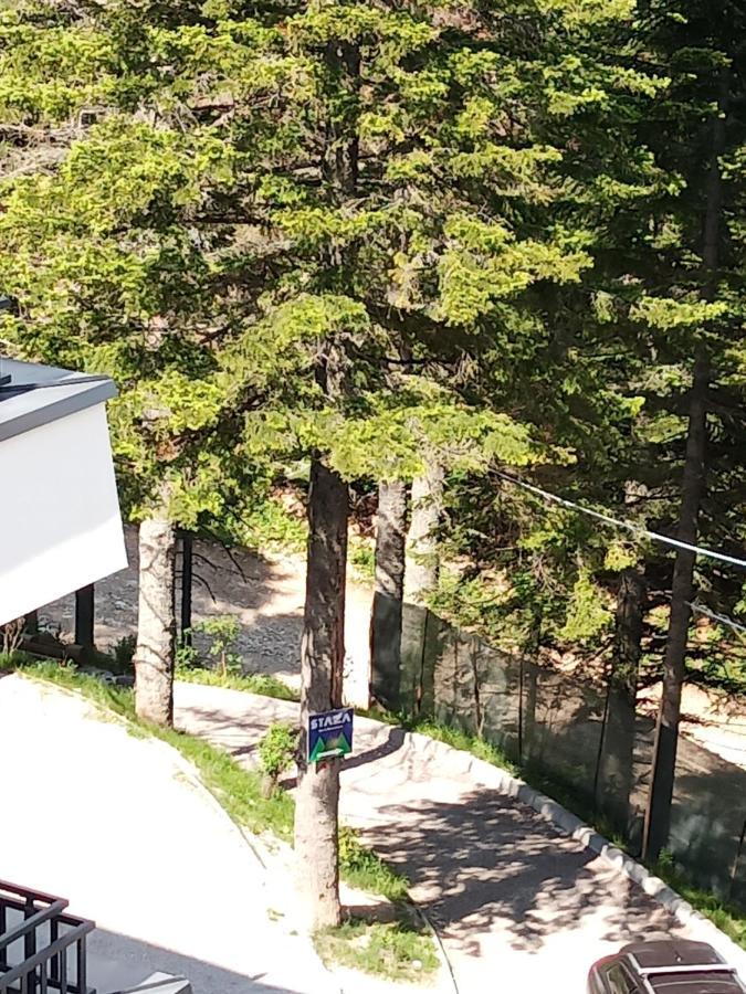 Apartman Bijela Bjelašnica Dış mekan fotoğraf